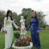 Bild 1 446
